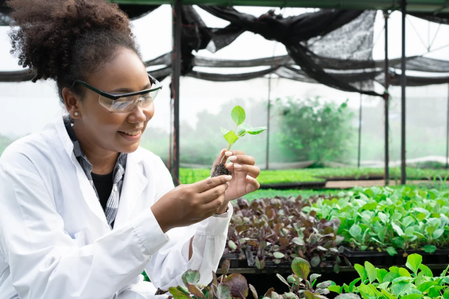 Maestría en Ciencias